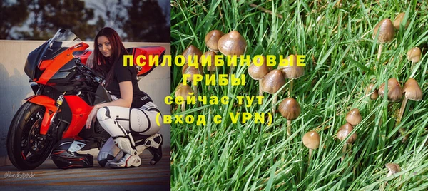 a pvp Баксан