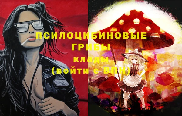 молекула духа Балахна